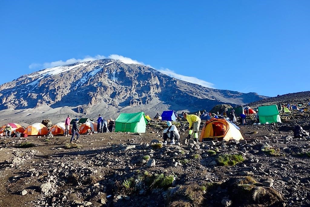 Lemosho Route 8 Days + 4-Days Safari